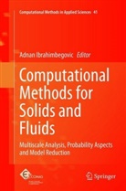 Adna Ibrahimbegovic, Adnan Ibrahimbegovic - Computational Methods for Solids and Fluids