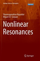 Shanmuganatha Rajasekar, Shanmuganathan Rajasekar, Miguel A F Sanjuan, Miguel A. F. Sanjuan - Nonlinear Resonances