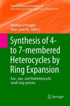 Matthias D’hooghe, Matthias Dhooghe, Matthia D'hooghe, Matthias D'hooghe, Ha, Ha... - Synthesis of 4- to 7-membered Heterocycles by Ring Expansion