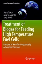 Angel Ausiello, Angelo Ausiello, Luca Micoli, Mari Turco, Maria Turco - Treatment of Biogas for Feeding High Temperature Fuel Cells