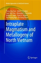 Pavel A. Balykin, Alexander S. Borisenko, Andrey E. Izokh, Phuong Thi Ngo, Dung Thi Pham, Gleb Polyakov... - Intraplate Magmatism and Metallogeny of North Vietnam