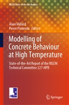 Alai Millard, Alain Millard, PIMIENTA, Pimienta, Pierre Pimienta - Modelling of Concrete Behaviour at High Temperature