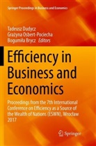 Bogumi¿a Brycz, Bogumila Brycz, Bogumiła Brycz, Tadeusz Dudycz, Gra¿yna Osbert-Pociecha, Grazyn Osbert-Pociecha... - Efficiency in Business and Economics