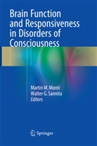 G Sannita, G Sannita, Marti M Monti, Martin M Monti, Martin M. Monti, Walter G. Sannita - Brain Function and Responsiveness in Disorders of Consciousness