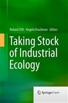 Rolan Clift, Roland Clift, Druckman, Druckman, Angela Druckman - Taking Stock of Industrial Ecology
