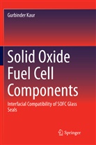 Gurbinder Kaur - Solid Oxide Fuel Cell Components