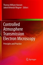 Birkedal Wagner, Birkedal Wagner, Thomas Willum Hansen, Jakob Birkedal Wagner, Thoma Willum Hansen, Thomas Willum Hansen - Controlled Atmosphere Transmission Electron Microscopy