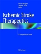 N Turan, N Turan, Bruc Ovbiagele, Bruce Ovbiagele, Tanya N. Turan - Ischemic Stroke Therapeutics