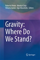 Monic Colpi, Monica Colpi, Vittorio Gorini, Vittorio Gorini et al, Ugo Moschella, Roberto Peron - Gravity: Where Do We Stand?