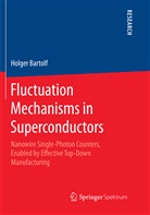 Holger Bartolf - Fluctuation Mechanisms in Superconductors
