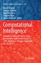 Antóni Dourado, António Dourado, Joaquim Filipe, Janusz Kacprzyk, Kurosh Madani, Agostinho Rosa... - Computational Intelligence
