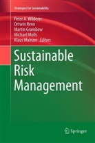 Martin Grambow, Martin Grambow et al, Klaus Mainzer, Michael Molls, Ortwi Renn, Ortwin Renn... - Sustainable Risk Management