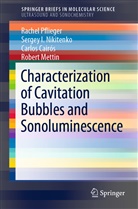 Carlo Cairós, Carlos Cairós, Robert Mettin, Sergey Nikitenko, Sergey I Nikitenko, Sergey I. Nikitenko... - Characterization of Cavitation Bubbles and Sonoluminescence