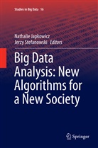 Nathali Japkowicz, Nathalie Japkowicz, Stefanowski, Stefanowski, Jerzy Stefanowski - Big Data Analysis: New Algorithms for a New Society