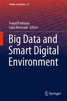 Youse Farhaoui, Yousef Farhaoui, Moussaid, Moussaid, Laila Moussaid - Big Data and Smart Digital Environment