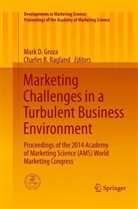 B Ragland, B Ragland, Mar D Groza, Mark D Groza, Mark D. Groza, Charles B. Ragland - Marketing Challenges in a Turbulent Business Environment
