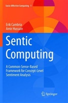 Eri Cambria, Erik Cambria, Amir Hussain - Sentic Computing