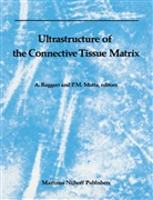Motta, P Motta, P. Motta, Ruggeri, Ruggeri, A. Ruggeri - Ultrastructure of the Connective Tissue Matrix