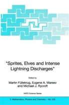 Eugen A Mareev, Eugene A Mareev, Martin Fullekrug, Martin Füllekrug, Michael J Rycroft, Eugene A. Mareev... - "Sprites, Elves and Intense Lightning Discharges"