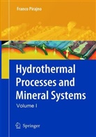 Franco Pirajno - Hydrothermal Processes and Mineral Systems, 2 Teile
