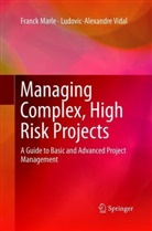 Franc Marle, Franck Marle, Ludovic-Alexandre Vidal - Managing Complex, High Risk Projects