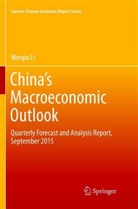 Wenpu Li - China's Macroeconomic Outlook