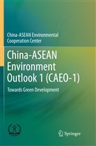 China-ASEAN Environmental Cooperation, China-ASEAN Environmental Cooperation Center - China-ASEAN Environment Outlook 1 (CAEO-1)
