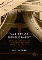 Qiushi Feng - Variety of Development