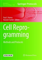 Pau J Verma, Paul J Verma, Sumer, Sumer, Huseyin Sumer, Paul J. Verma - Cell Reprogramming