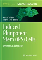 Nagy, Nagy, Andras Nagy, Kursa Turksen, Kursad Turksen - Induced Pluripotent Stem (iPS) Cells
