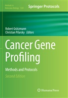 Robert Grutzmann, Rober Grützmann, Robert Grützmann, Pilarsky, Pilarsky, Christian Pilarsky - Cancer Gene Profiling