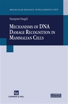 Hanspeter Naegeli - Mechanisms of DNA Damage Recognition in Mammalian Cells