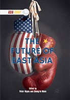 Pete Hayes, Peter Hayes, Moon, Moon, Chung-In Moon - The Future of East Asia