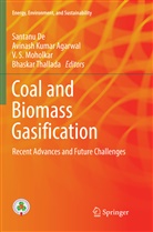 Avinash K. Agarwal, Avinash Kumar Agarwal, Santanu De, Avinas Kumar Agarwal, Avinash Kumar Agarwal, V. S. Moholkar... - Coal and Biomass Gasification