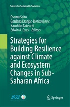 Edwin A. Gyasi, Edwin A. Gyasi, Gordan Kranjac-Berisavljevic, Gordana Kranjac-Berisavljevic, Osamu Saito, Kazuhiko Takeuchi... - Strategies for Building Resilience against Climate and Ecosystem Changes in Sub-Saharan Africa