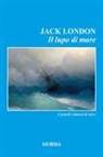 Jack London - Il lupo di mare