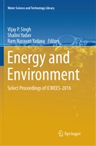 Ram Narayan Yadava, Vijay P Singh, Shalin Yadav, Shalini Yadav, Ram Narayan Yadava - Energy and Environment