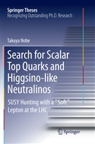 Takuya Nobe - Search for Scalar Top Quarks and Higgsino-Like Neutralinos