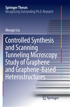 Mengxi Liu - Controlled Synthesis and Scanning Tunneling Microscopy Study of Graphene and Graphene-Based Heterostructures