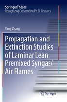 Yang Zhang - Propagation and Extinction Studies of Laminar Lean Premixed Syngas/Air Flames