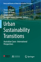 Fjala de Haan, Fjalar de Haan, Brendan James Gleeson, Ralph Horne, Ralph Horne et al, Trivess Moore - Urban Sustainability Transitions
