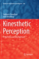 Amit Bhardwaj, Subhasi Chaudhuri, Subhasis Chaudhuri - Kinesthetic Perception