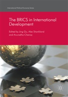 Anuradha Chenoy, Jing Gu, Ale Shankland, Alex Shankland - The BRICS in International Development