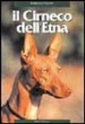 Domenico Tricomi - Cirneco dell'Etna