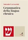 Antonio Carrozzini - Grammatica della lingua ebraica