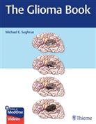 Michael E Sughrue, Michael E. Sughrue - The Glioma Book