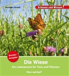 Veronika Straaß - Die Wiese
