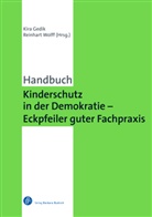 Kira Gedik, Wolff, Reinhart Wolff - Kinderschutz in der Demokratie - Eckpfeiler guter Fachpraxis