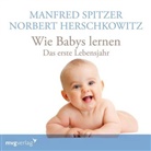 Norbert Herschkowitz, Manfre Spitzer, Manfred Spitzer - Wie Babys lernen - das erste Jahr, 1 Audio-CD (Audiolibro)