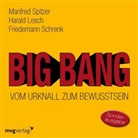 Harald Lesch, Friedemann Schrenk, Manfre Spitzer, Manfred Spitzer - Big Bang: Vom Urknall zum Bewusstsein, 1 Audio-CD (Audio book)